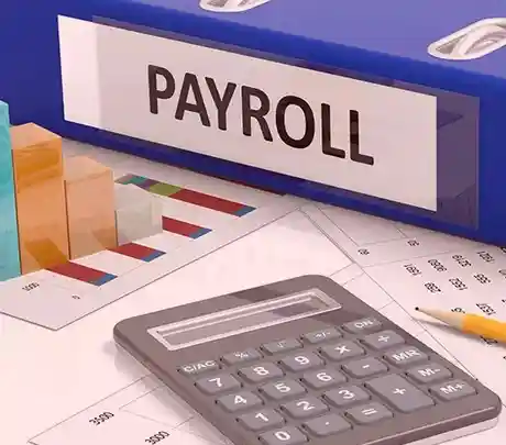 Payroll & Statutory